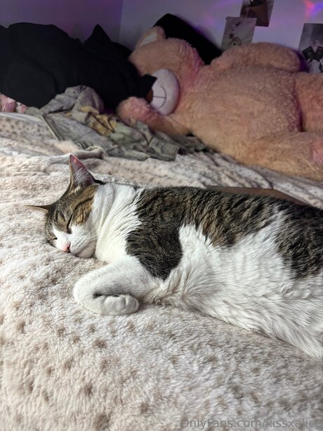 Kissxalice hd sex galerien