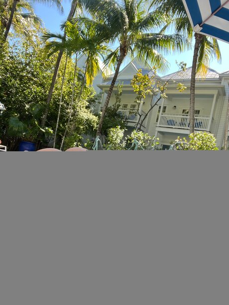 Hail Fitgirl erwachsene schöne bild