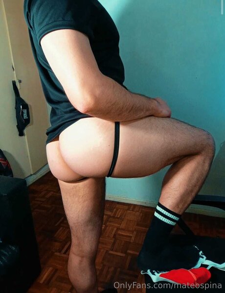 Mateospina xxx top archiv