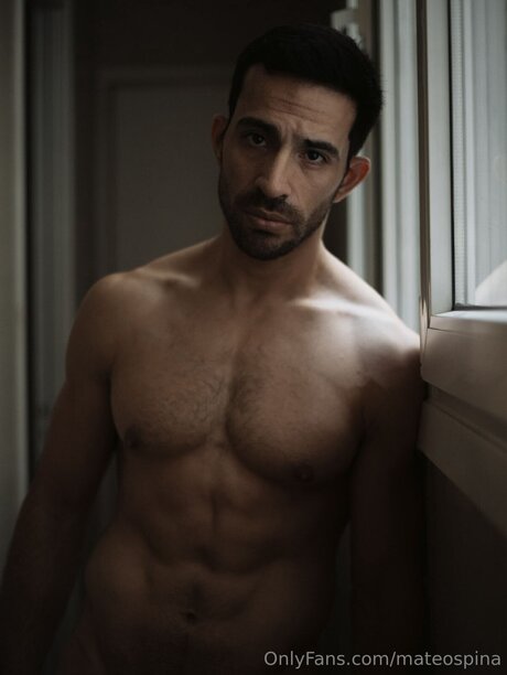 Mateospina hd hübsche archiv