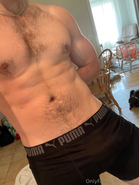 Qevon kunst pornografische galerien