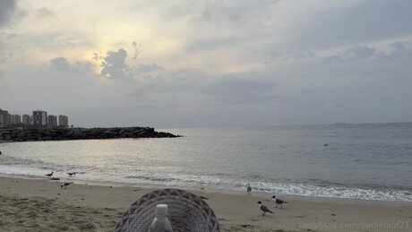 anal-pov-onlyfans kunst sex bild