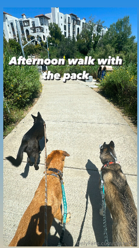 Donte011 kostenlose foto