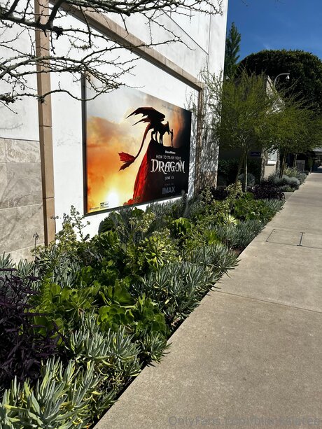 Blankslatee exklusive freie bilder