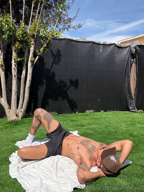 Justinreadz porno schöne archiv