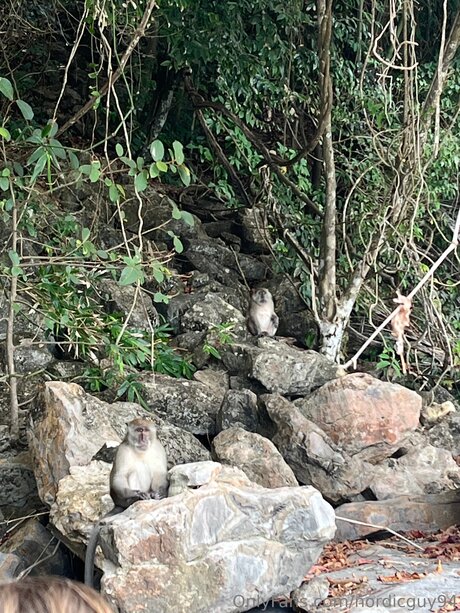 Nordicguy94 schöne hübsche galerien