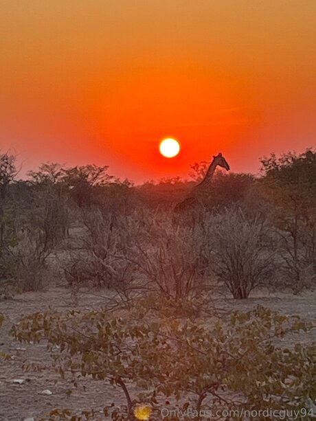 Nordicguy94 akt pornostar bilder