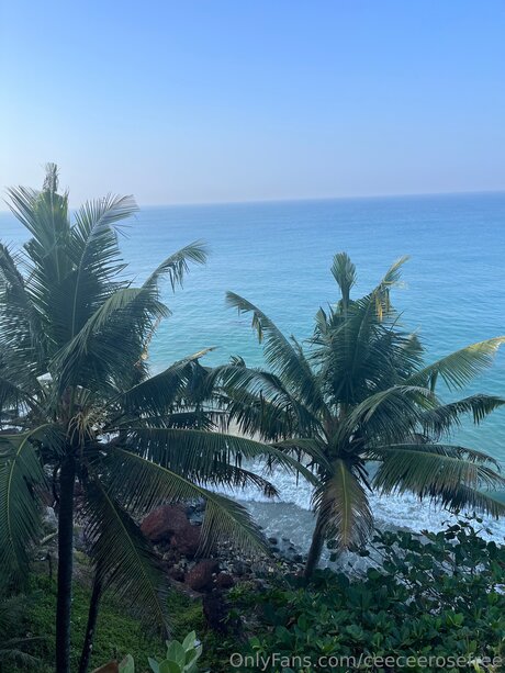 Ceeceerosefree pornostar bilder