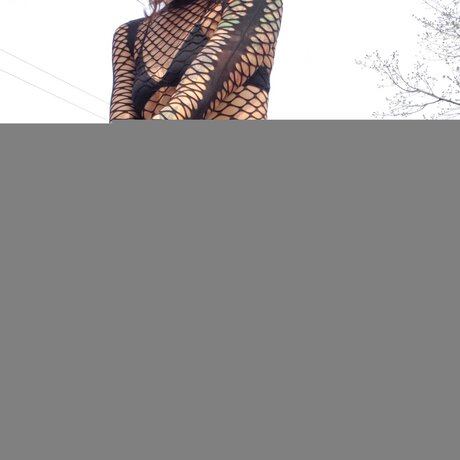 Dumbcuntfree heiße erotische archiv