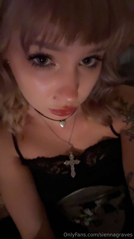 Siennagraves Profilbild