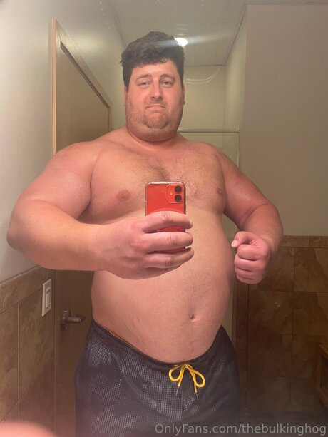 Thebulkinghog top bilder