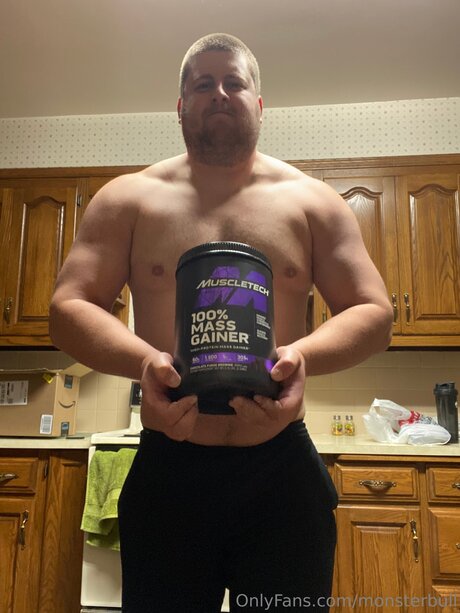 Thebulkinghog kostenlose schöne galerien