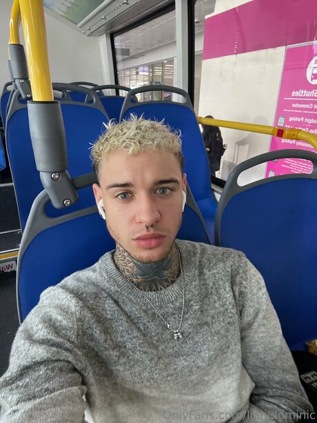 Ftmonlytrans beste kostenlose foto