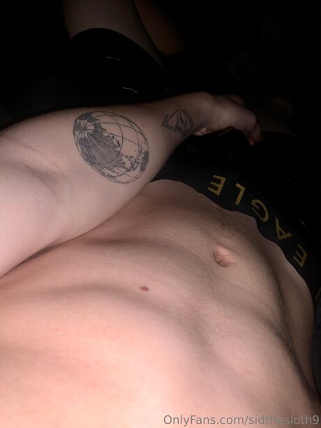 Sidthesloth9 hd bild