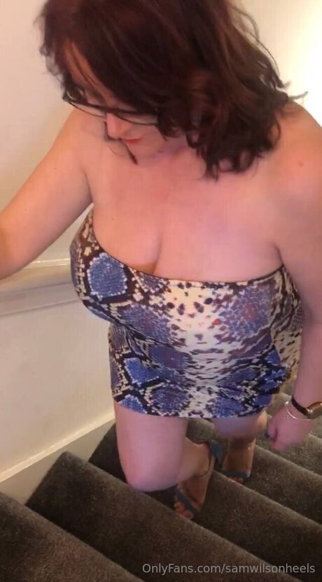 Samwilsonheels kunst hd archiv