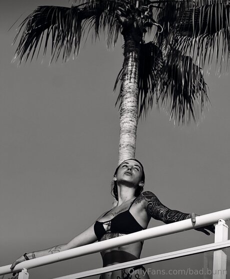 Bad Bunn sexy top archiv