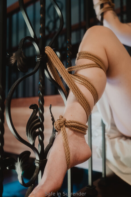 Safeinsurrender hübsche nette galerie