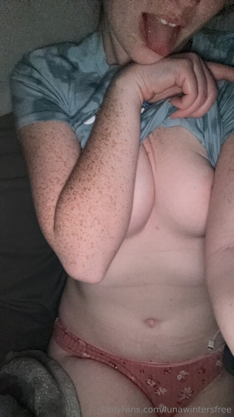 Lunawintersfree freie hd galerie