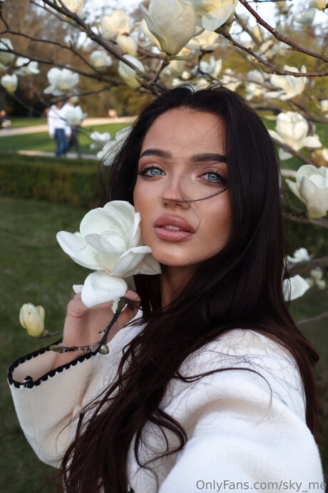 Sky Me perfekte hd bild