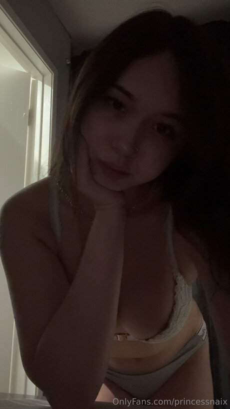 Princessnaix kunst erotische archiv