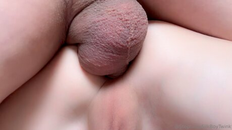 Silkboytwink beste erwachsene galerie