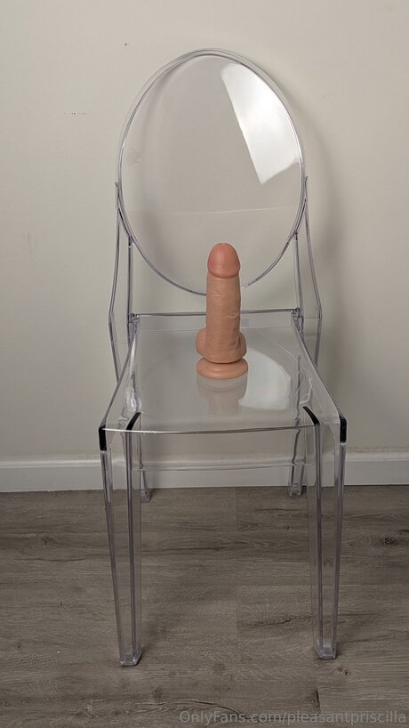 Pleasantpriscilla kunst freie foto