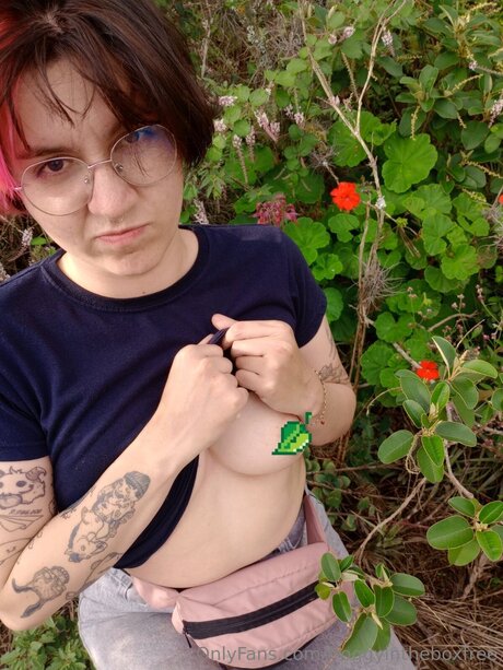 Froggyintheboxfree kostenlose hd bild