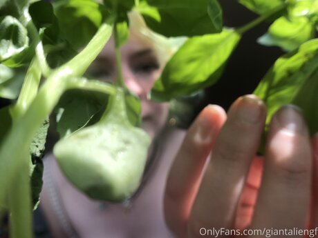 Giantaliengf Profilbild