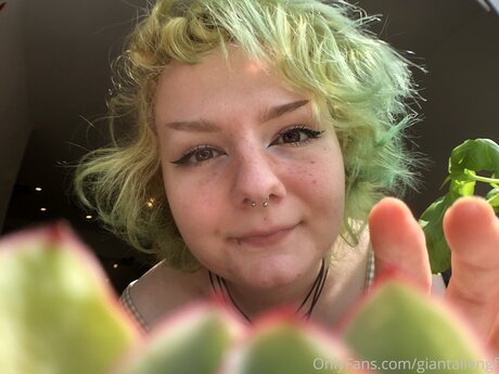 Giantaliengf top schöne archiv