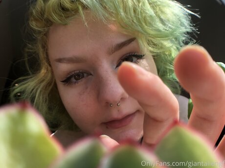 Giantaliengf heiße foto