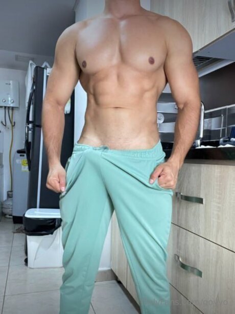 Goyyo kunst top bild