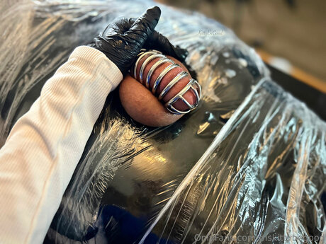 Mskittybegood beste freie bilder