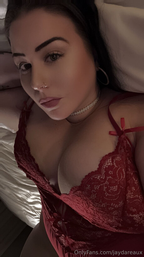 Jaydareaux perfekte top galerie