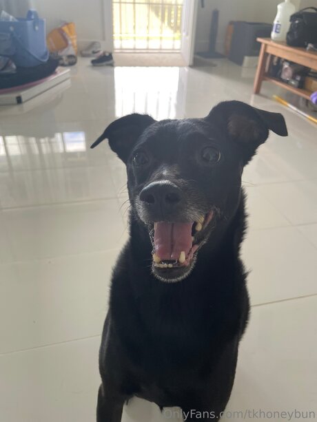 Tkhoneybun xxx nackten archiv