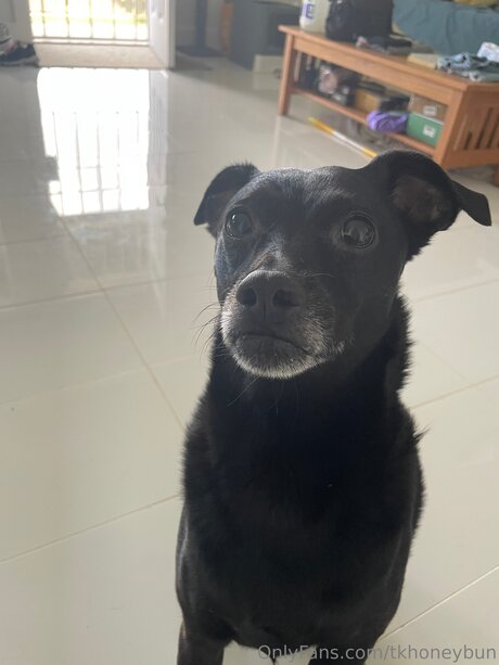 Tkhoneybun hd nackten bild