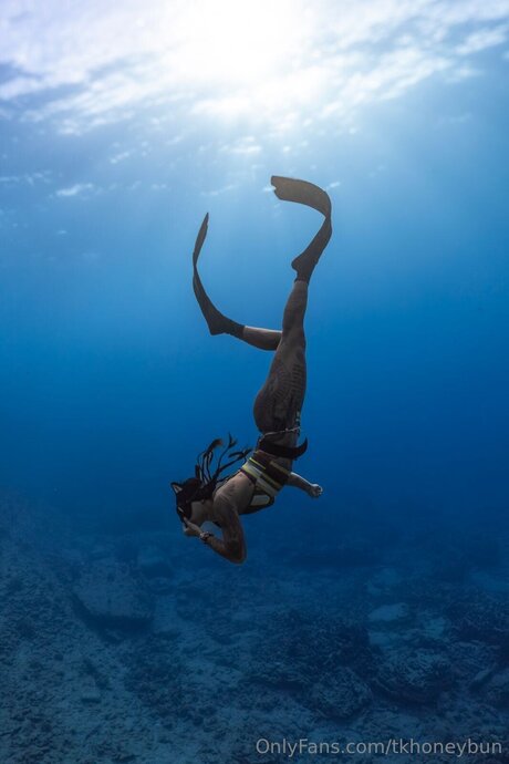 Tkhoneybun beste freie bild