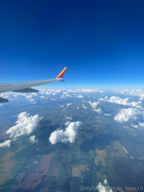 Bi Kingy beste kunst bild