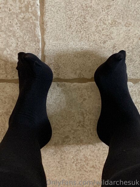 Wildarchesuk schöne bilder