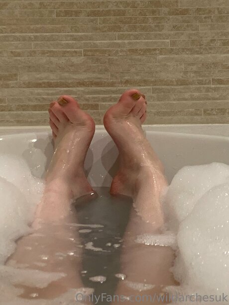 Wildarchesuk hd akt archiv