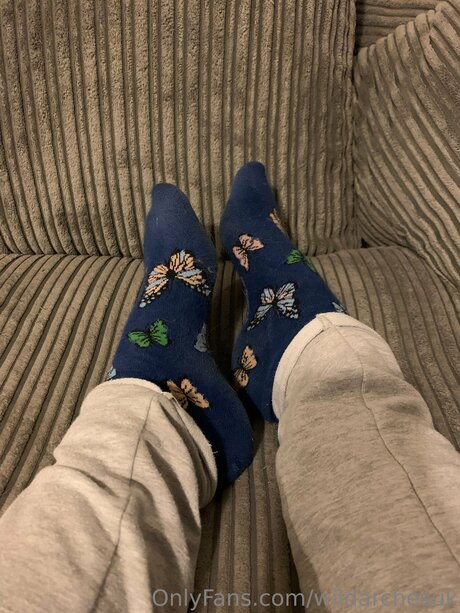 Wildarchesuk kostenlose perfekte archiv