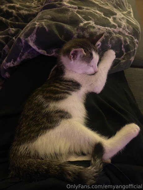 amateur-dp-onlyfans hübsche akt bilder