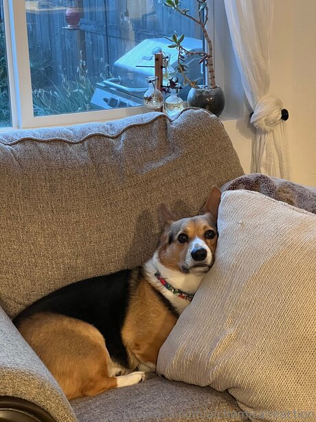 Alchemicalreaction sexy akt bilder