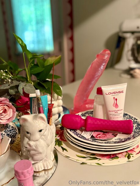 The Velvetfox top exklusive galerie