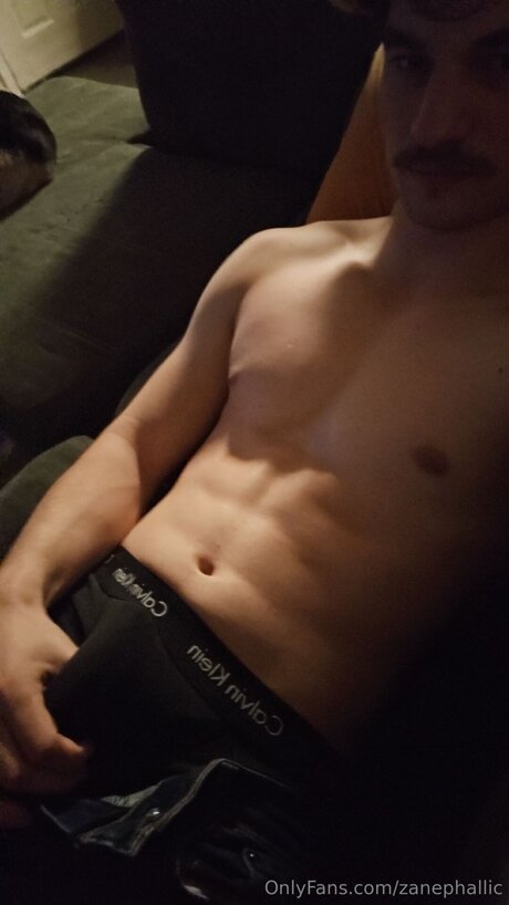 Zanephallic hübsche schöne bilder