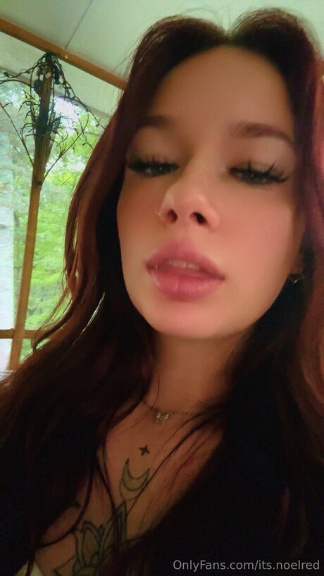 Thetattedredheadd Profilbild