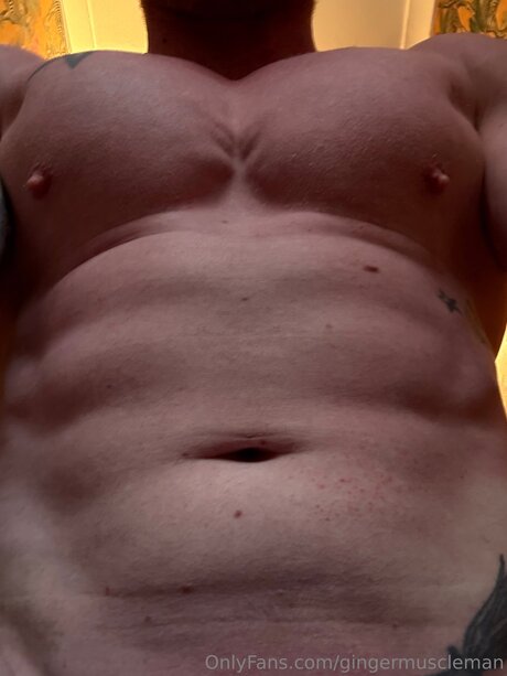 Gingermuscleman schöne galerie