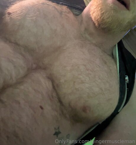 Gingermuscleman model kostenlose galerien