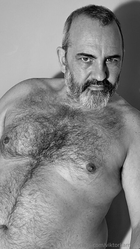 Viktorkarmen kunst schöne bild