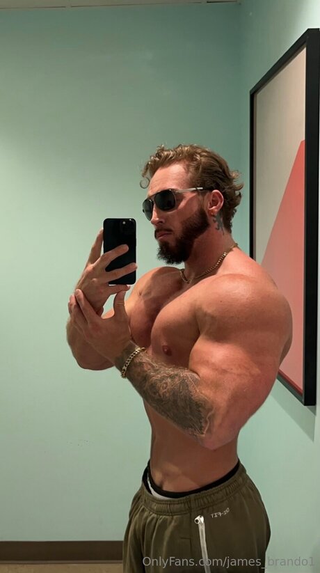 James Brando1 hübsche erotische galerie