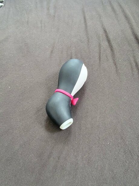 Foxhasshame top heiße galerien